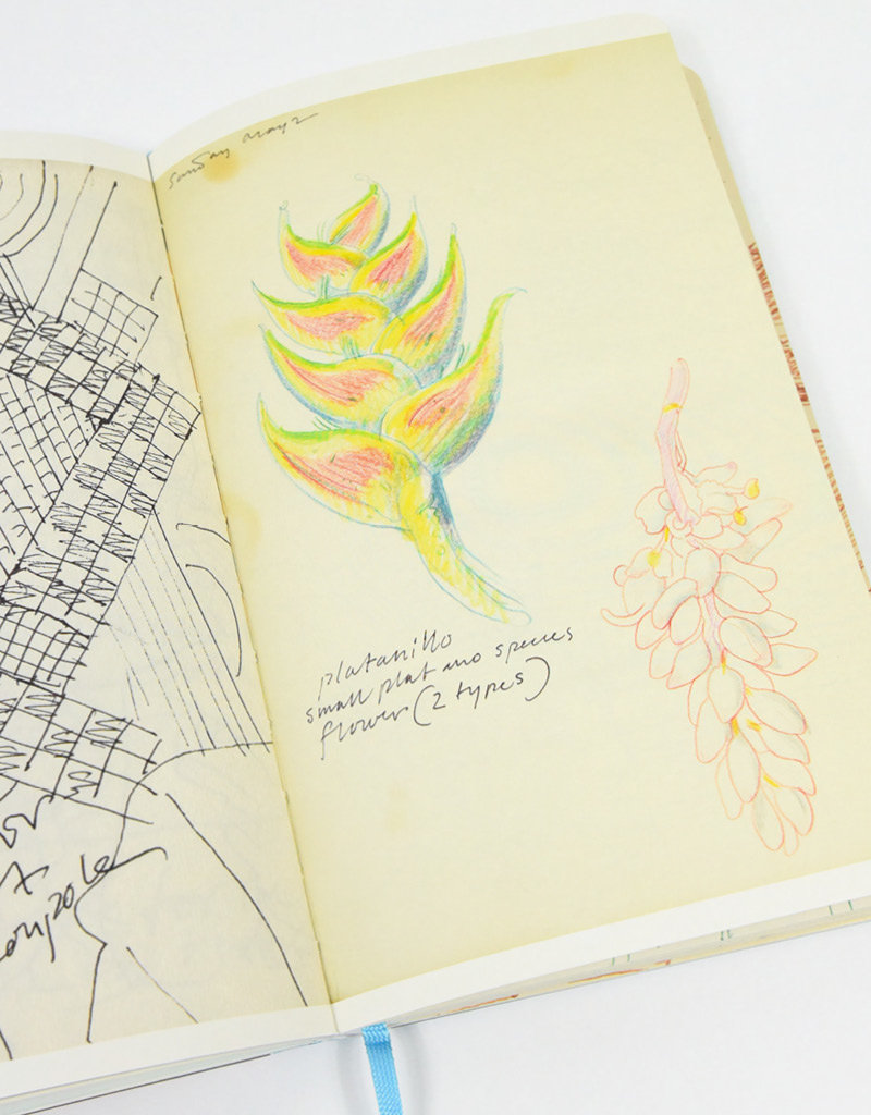 Milton Glaser: Inspiration and Process in Design