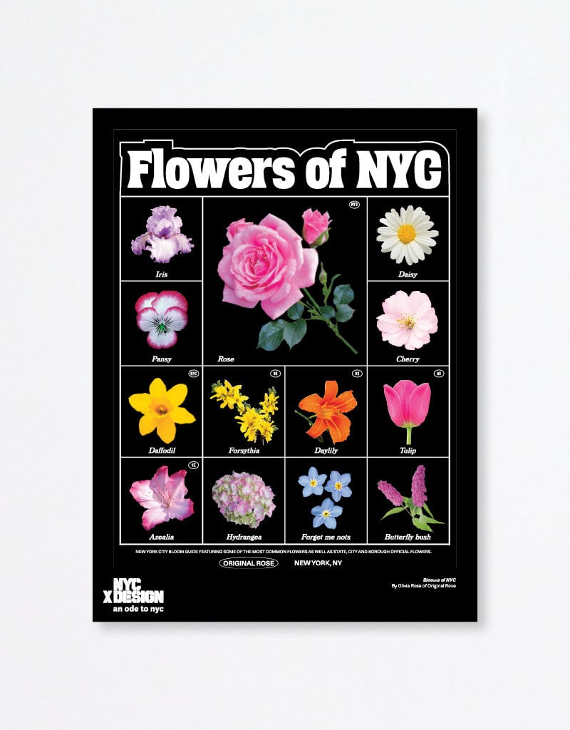 Olivia Rose: Blooms of NYC, 2022