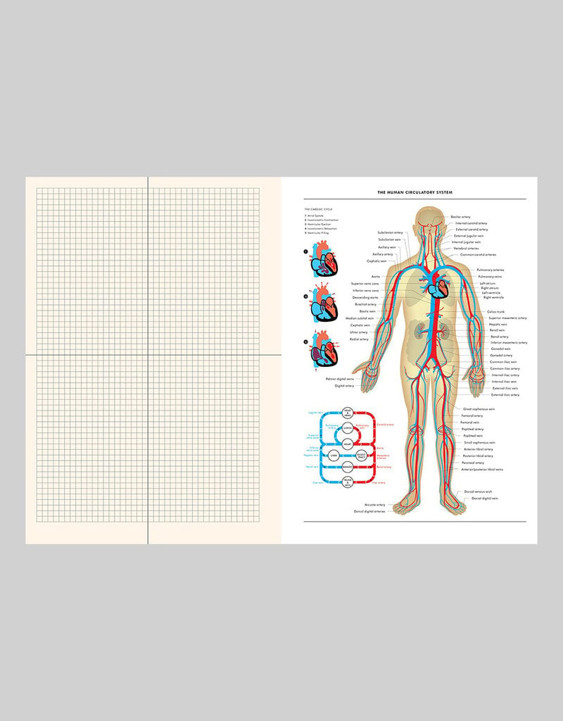 Grids & Guides Notebook Gray