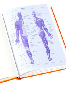 Grids & Guides Notebook Orange
