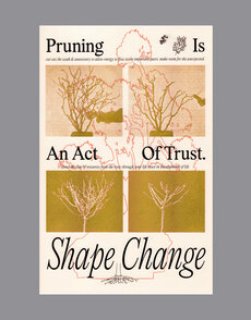 Tara Ridgedell: Pruning, 2022