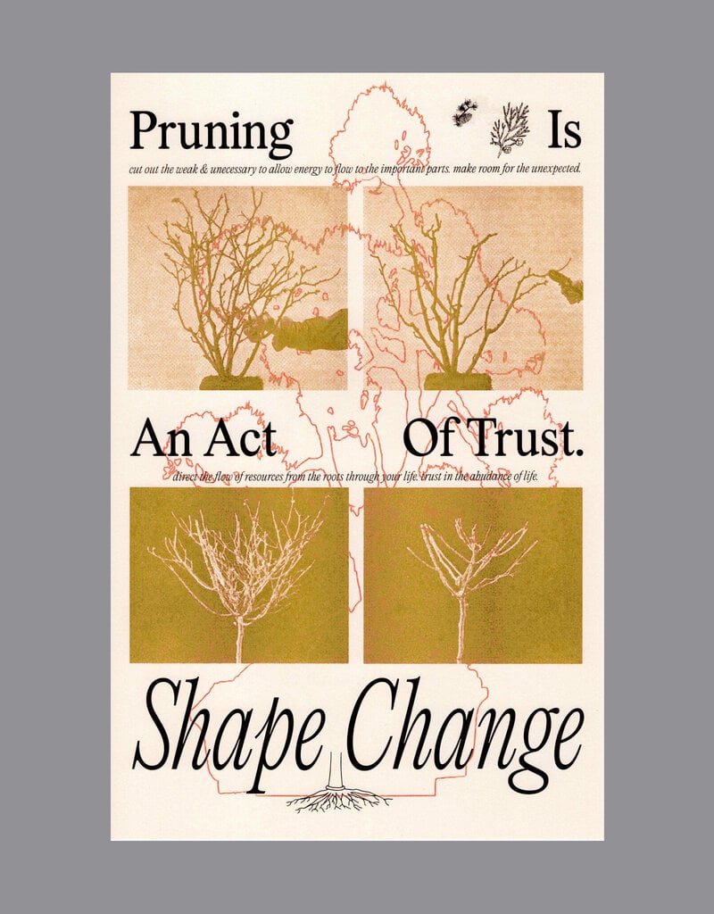 Tara Ridgedell: Pruning, 2022