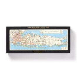 A Map of Fictional New York Panoramic Puzzle