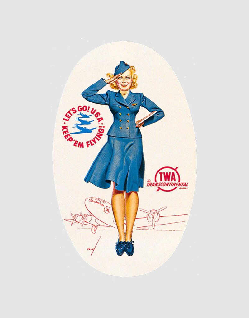 Wings of the World Luggage Label Stickers