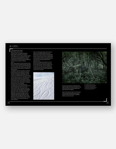Print Production: A Complete Guide to Planning, Printing and Packaging