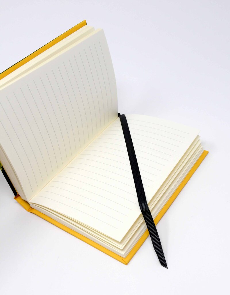 Cachou Lajaunie Journal