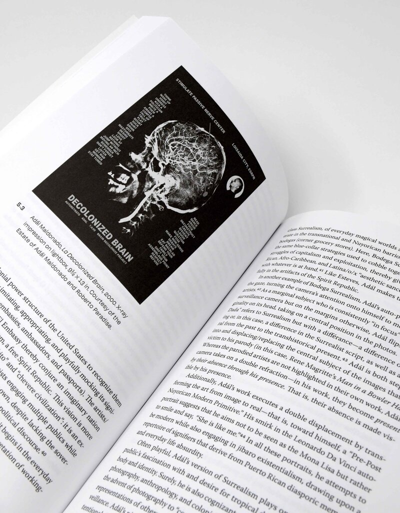 Nuyorican and Diasporican Visual Art: A Critical Anthology