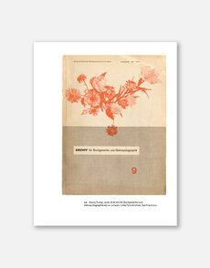 Typophoto: New Typography and the Reinvention of Photography