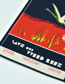 Save Our Wildlife Sticker