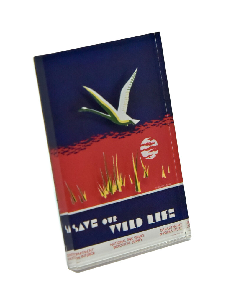 Save Our Wildlife Magnet