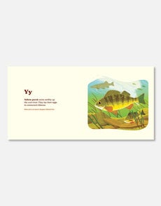 Animals of the National Parks