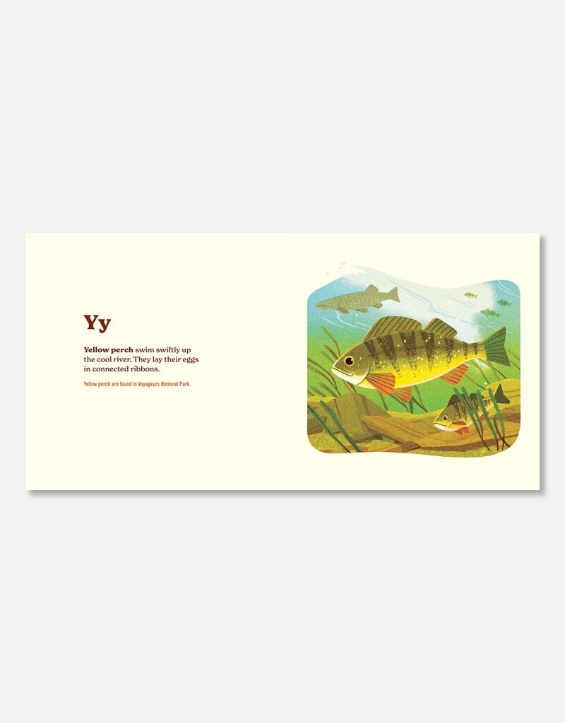 Animals of the National Parks