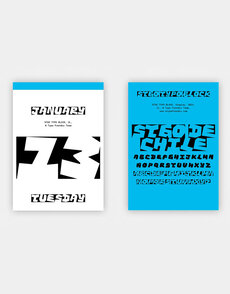 Typodarium 365 Day Type Calendar