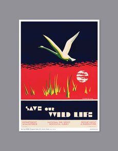 Save Our Wildlife Print