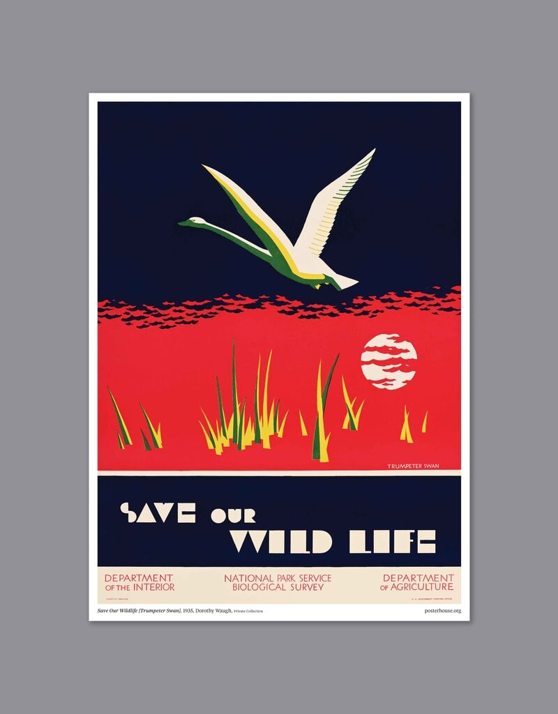 Save Our Wildlife Print