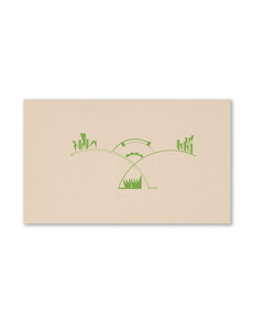 Sprigs, Leaves, & Flowers Correspondence Cards