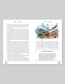 Tiger Slayer: The Extraordinary Story of Nur Jahan, Empress of India