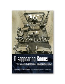 Disappearing Rooms: The Hidden Theaters of Immigration Law
