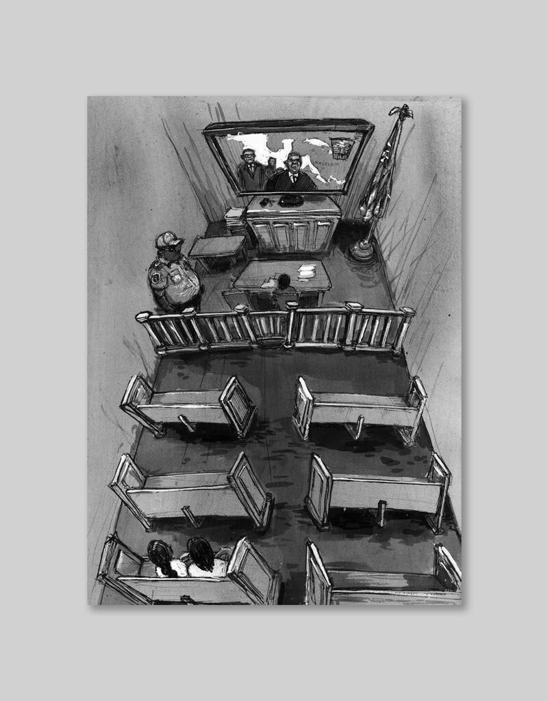 Disappearing Rooms: The Hidden Theaters of Immigration Law