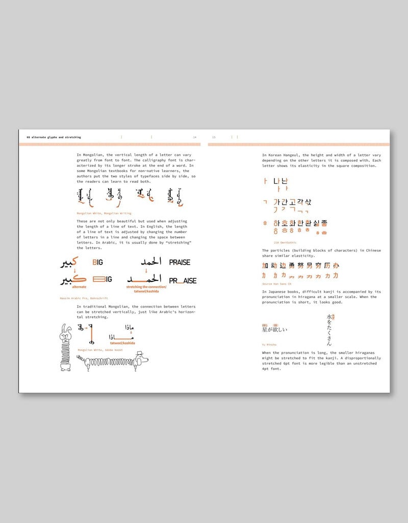 Typography Beyond Borders: Design with Multiscriptual Typographic Elements