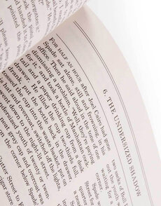 The Maltese Falcon, "ASE" Edition