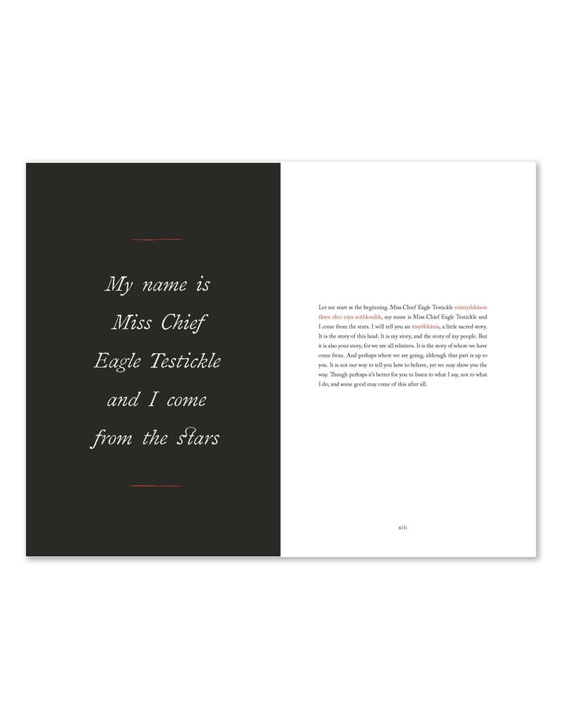 The Memoirs of Miss Chief Eagle Testickle: A True and Exact Accounting of the History of Turtle Island