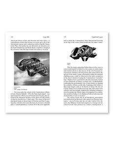 Logo in Real Life: Notes for a Social History of Visual Identity