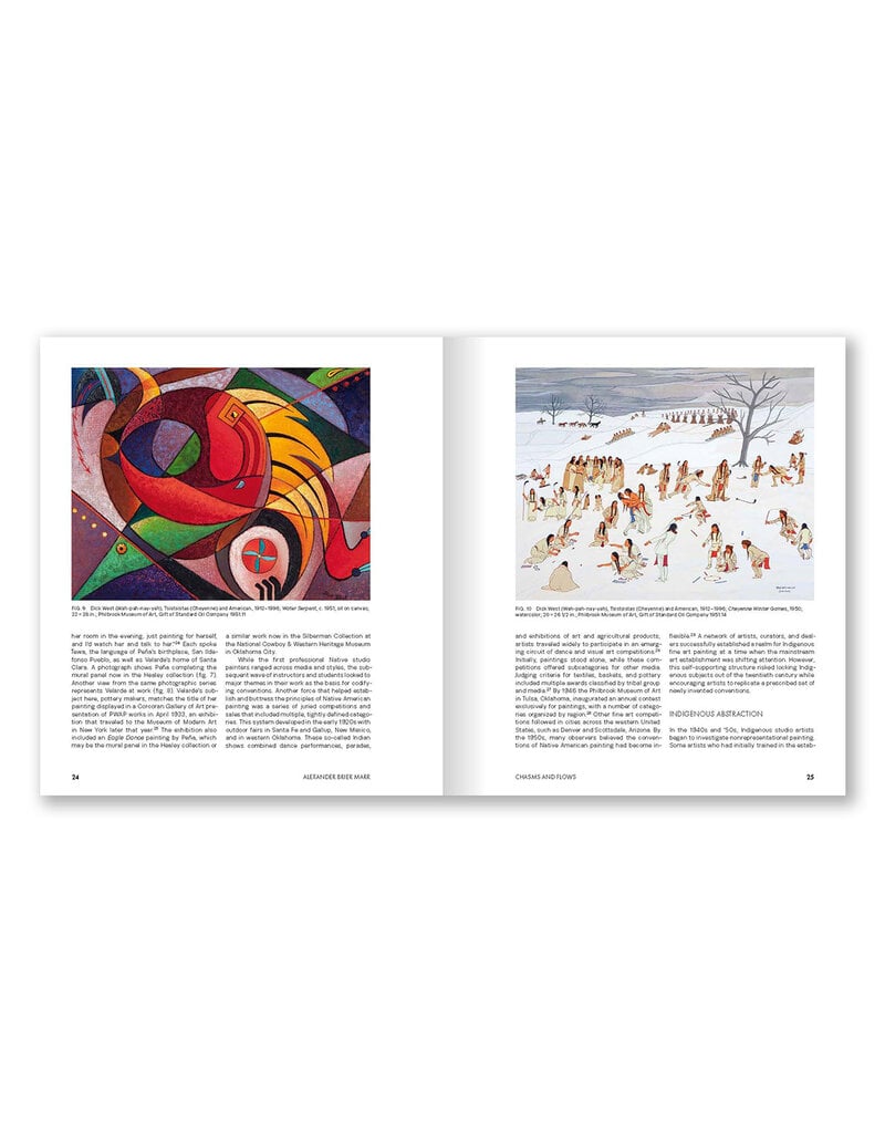 Native Studio Art Since the 1920s: The Healey Collection