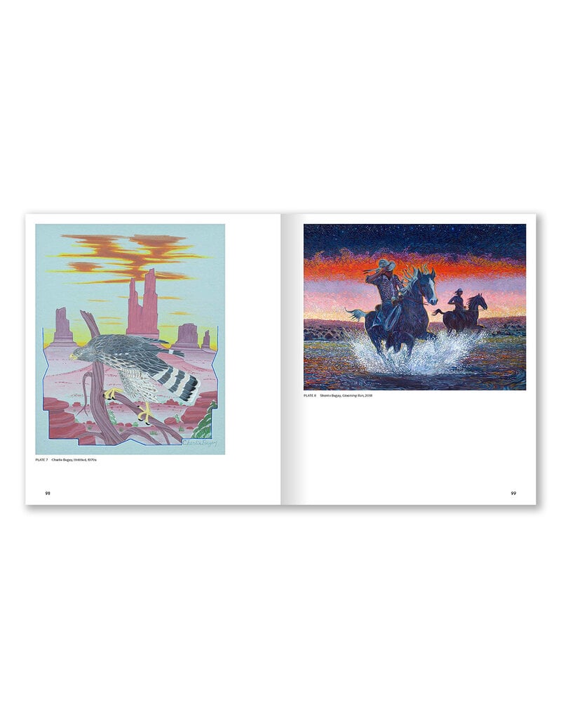 Native Studio Art Since the 1920s: The Healey Collection