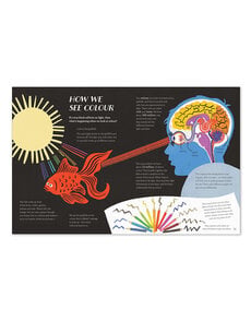 Kaleidoscope: Step Into a World of Color