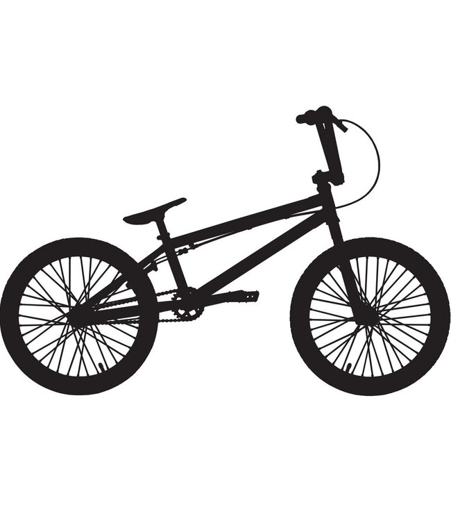 ASSEMBLE USED BMX SINGLE SPEED BIKE INCLUDES REGULAR TUNE UP B P Cycle and Sports