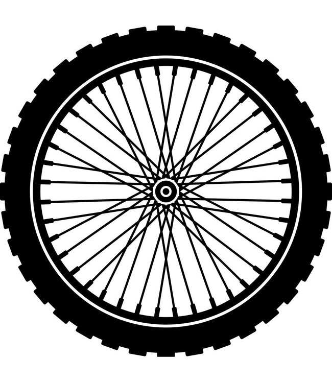 TRU WHEEL OFF BIKE (40903)