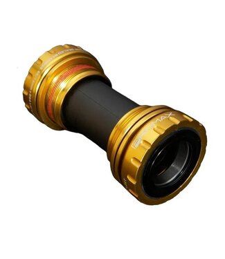 PROMAX EX1 BB 24MM GOLD