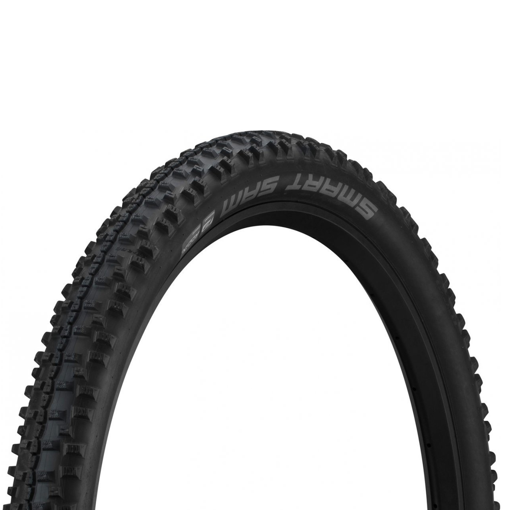 schwalbe smart sam 29 2.1