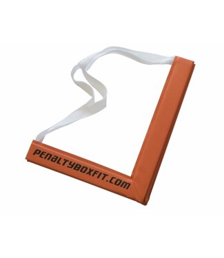 Blue Sports PENALTY BOX TRAINING LADDER