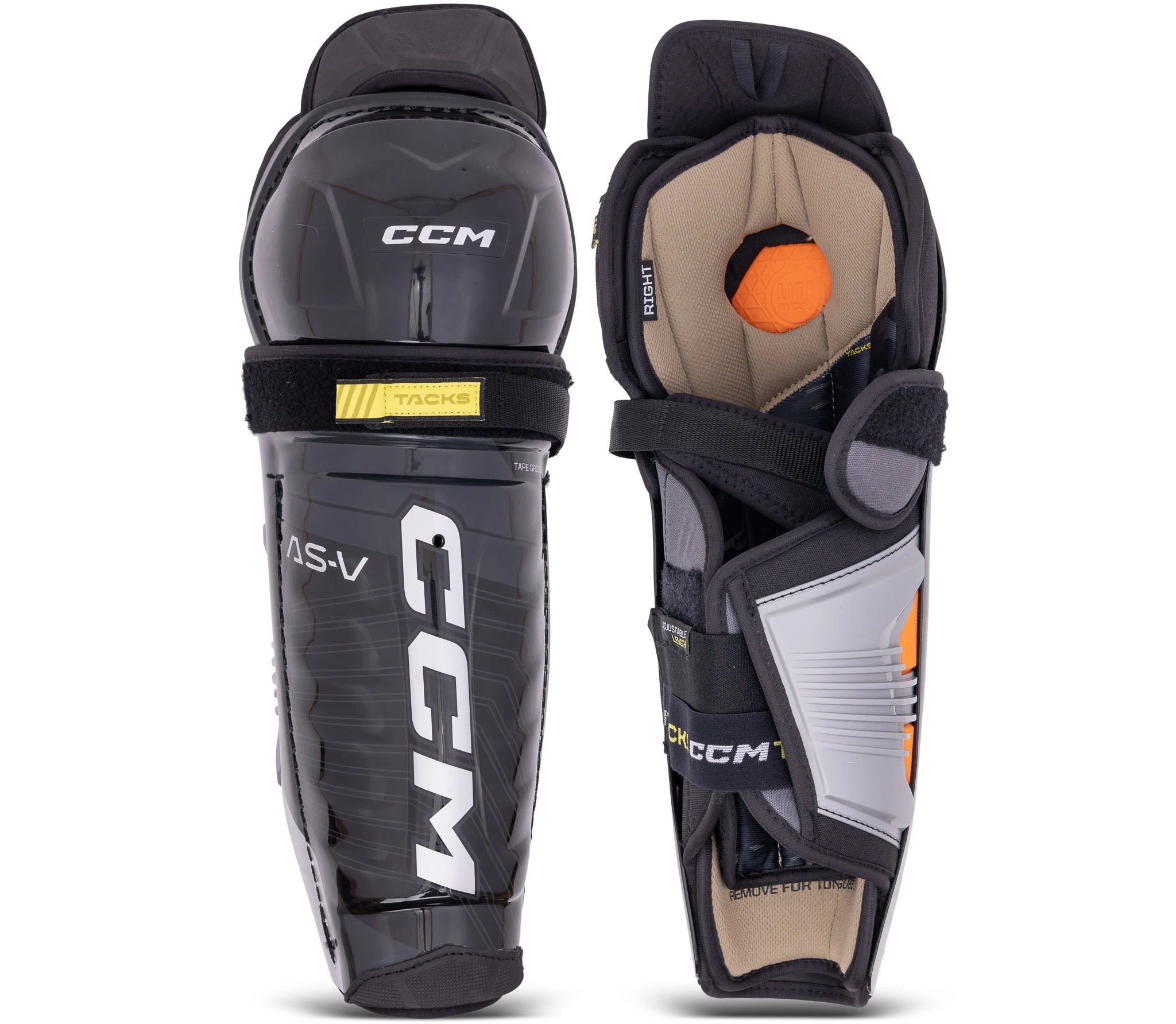 CCM CCM JETSPEED GIRDLE SHELL SR - B&P Cycle and Sports