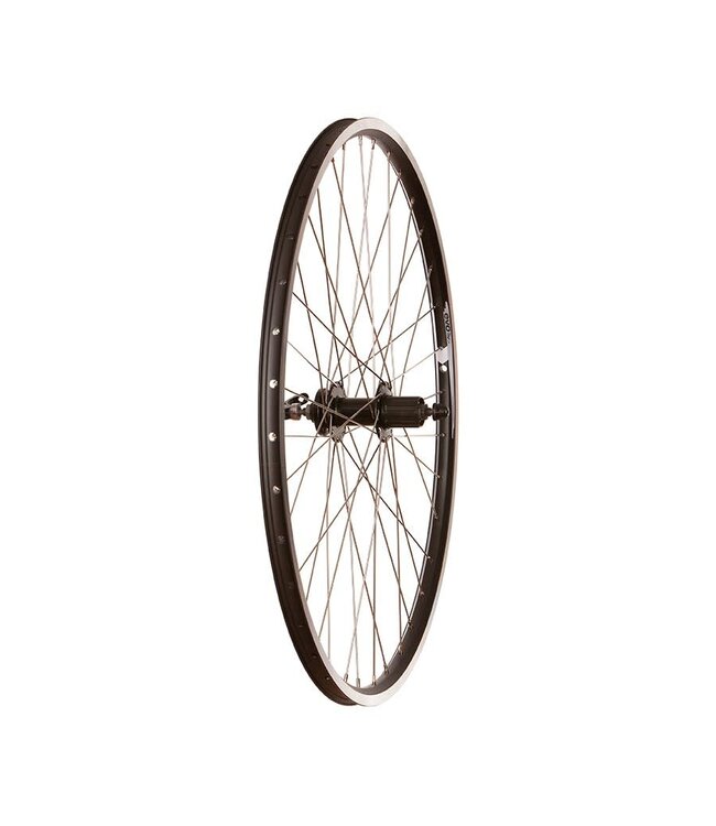 EVO TOUR 19 700C REAR WHEEL QR DISC CASSETTE BLACK (SILVER SPOKES)