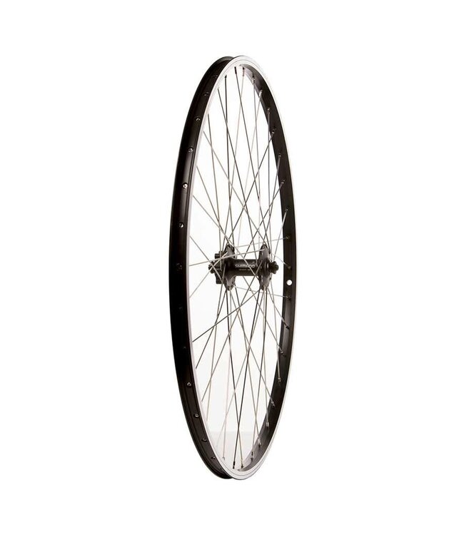 ALEX DM18 29" / 700C FRONT WHEEL 100MM DISC QR BLACK (SILVER SPOKES)