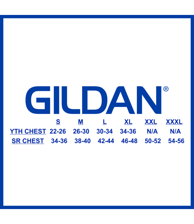 BLADES GILDAN PERFORMACE TRAINING SHIRT LIGHT BLUE 42000 SR