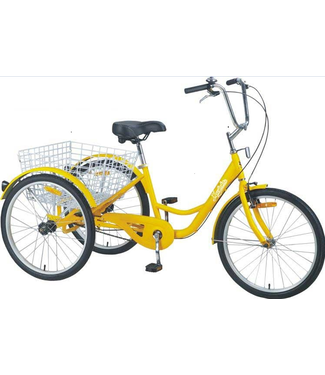 MUSKOKA 24'' 1 SPEED COASTER TRIKE (200 LBS)