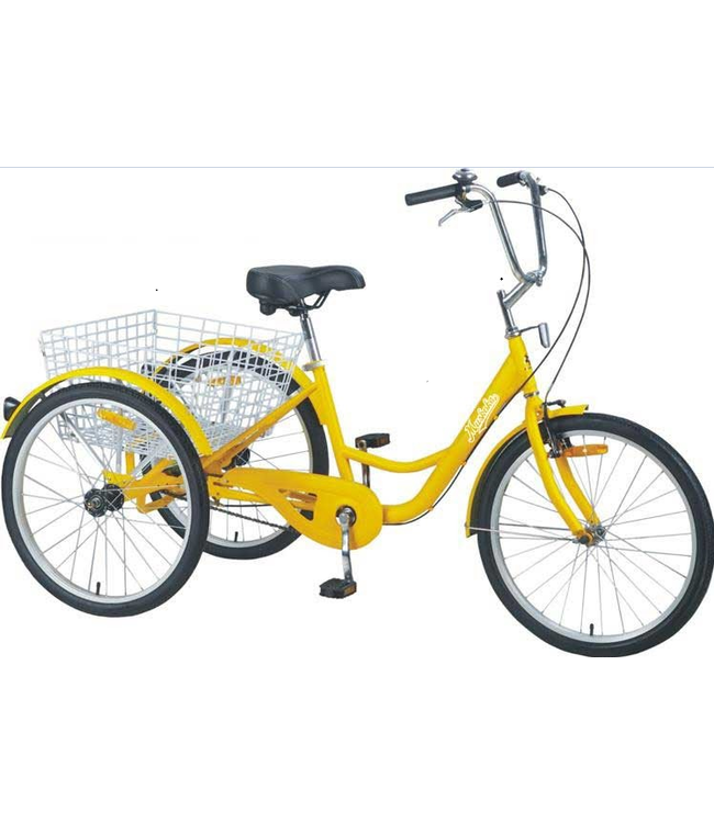 MUSKOKA 24'' 1 SPEED COASTER TRIKE (200 LBS)