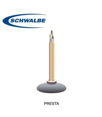 Schwalbe SCHWALBE TUBE 20 X 1.1-1.5" PRESTA 40mm