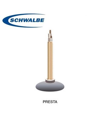 SCHWALBE TUBE 20 X 1.1-1.5" PRESTA 40mm
