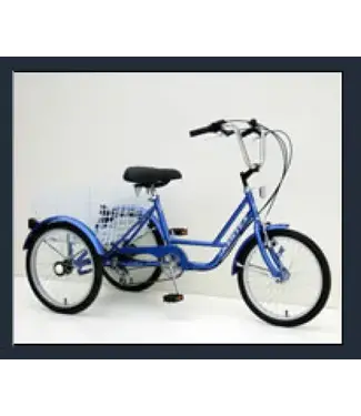 Muskoka MUSKOKA 24'' 6 SPEED TRIKE (200 LBS)