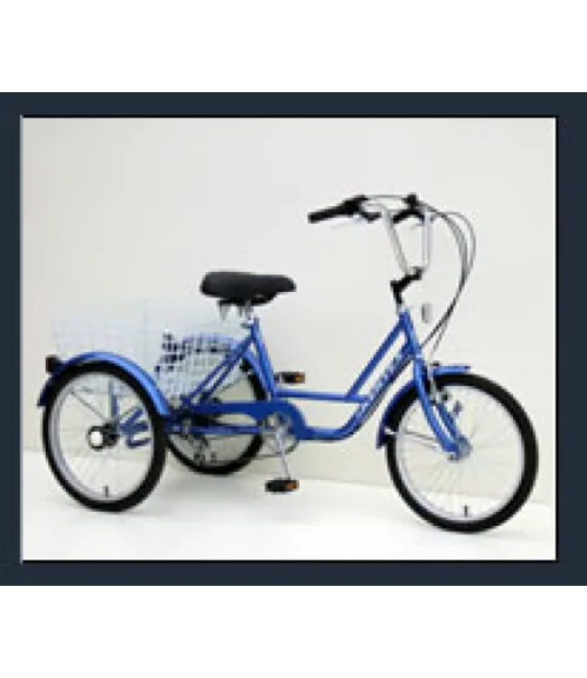 MUSKOKA 24'' 1 SPEED COASTER TRIKE (200 LBS)