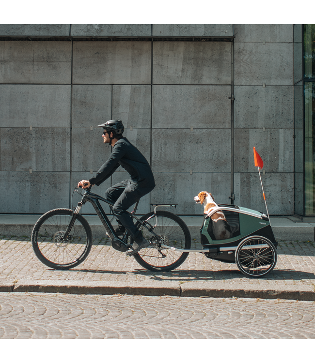 THULE CHARIOT BEXEY DOG TRAILER HAZY GREEN MEDIUM (800000)