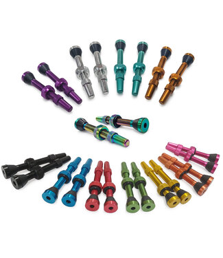 Damco DAMCO TUBELESS VALVE 44MM