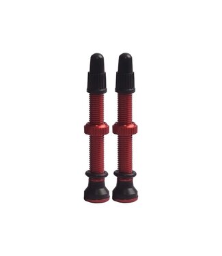 EVO EVO TUBELESS VALVES
