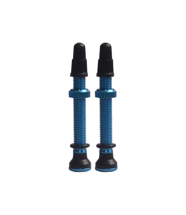 EVO TUBELESS VALVES