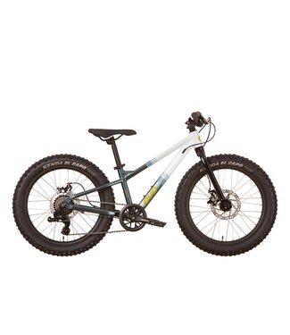 EVO EVO CADET 20" BLUE/WHITE